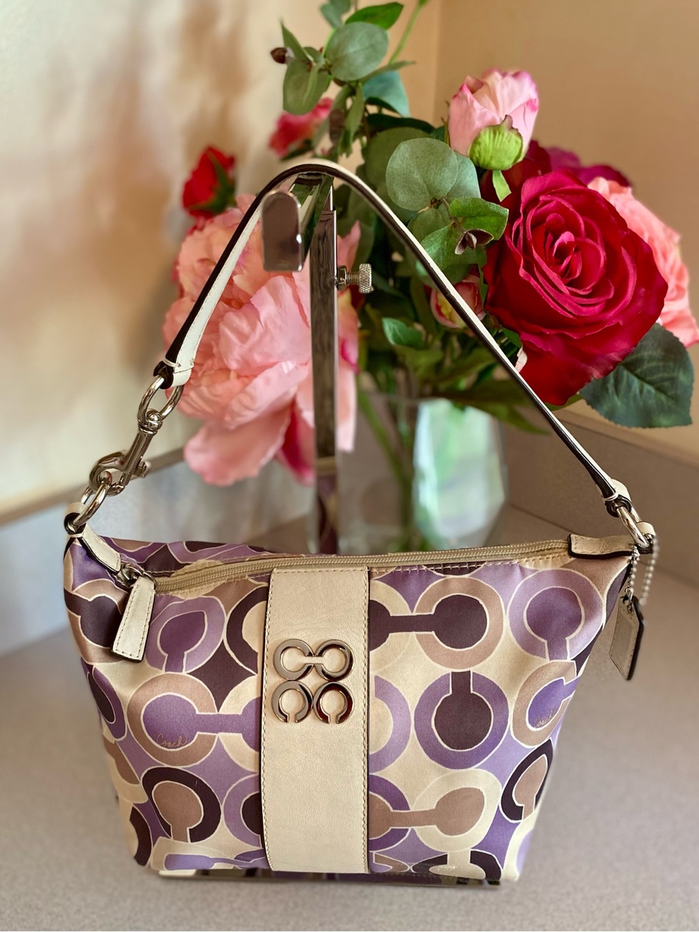 Coach 2010 Julia Opt Art Mini Shoulder Bag